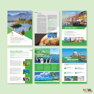 Thiết kế Catalogue - In Nowads - Công Ty TNHH TM DV XNK Đầu Tư Thanh Long